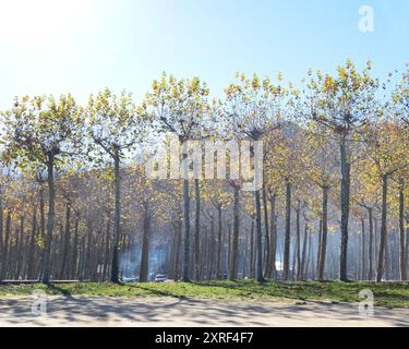 Fotografía de paisajes Stockfoto