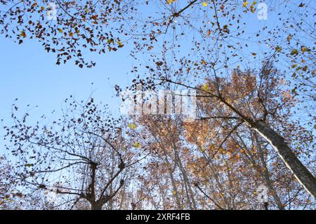 Fotografía de paisajes Stockfoto