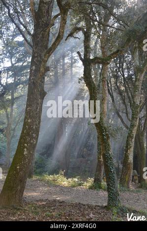 Fotografía de paisajes Stockfoto