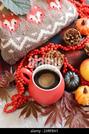 Stillleben im Herbst mit rotem Becher und warmbraunem Strickpullover. Cloe-up-Foto mit farbenfroher Herbstkomposition. Stockfoto