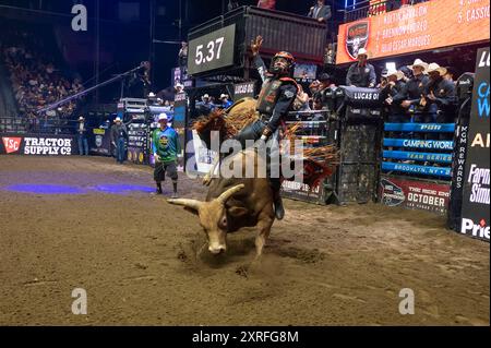 New York, Usa. August 2024. NEW YORK, NEW YORK – 09. AUGUST: Koltin Hevalow der Kansas City Outlaws reitet Martins Maniac in Spiel 4 während der PBR Camping World Team Series Homestand, Maverick Days im Barclays Center am 9. August 2024 im Brooklyn Borough of New York City. Quelle: Ron Adar/Alamy Live News Stockfoto