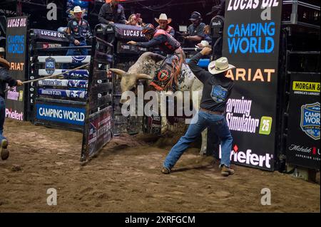 New York, Usa. August 2024. NEW YORK, NEW YORK – 09. AUGUST: Julio Cesar Marques der Kansas City Outlaws reitet Buckaroo in Spiel 4 während der PBR Camping World Team Series Homestand, Maverick Days im Barclays Center am 9. August 2024 im Brooklyn Borough of New York City. Quelle: Ron Adar/Alamy Live News Stockfoto