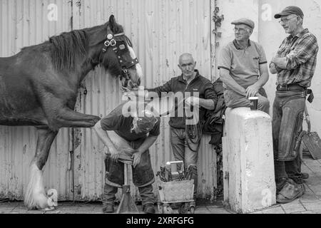 Schmied schuht ein Pferd auf einer Messe in Irland. Stockfoto