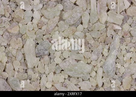 Al-Hojari Boswellia sacra Weihrauchharz aus Oman zur Verwendung im Hintergrund Stockfoto