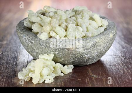 Al-Hojari Boswellia sacra Weihrauchharz aus Oman in einer Steinschale auf Holztisch Stockfoto