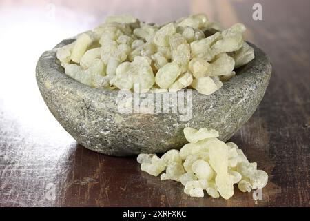 Al-Hojari Boswellia sacra Weihrauchharz aus Oman in einer Steinschale auf Holztisch Stockfoto