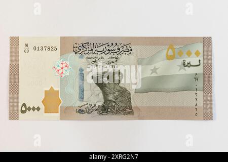 Die 5-Tausend-Pfund-Banknote in Syrien zeigt eine syrische Soldatenstatue und die syrische Flagge an der Front. Stockfoto