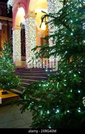 Weihnachtsbäume vor dem Stadtmarkt (Pijaca Markale), dekoriert mit beleuchteten Lichtern in Sarajevo, Bosnien und Herzegowina Stockfoto