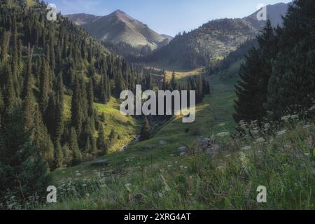 Bewaldete Bergschlucht Gorelnik im Zailiysky Alatau in der Nähe der Stadt Almaty in Kasachstan Stockfoto