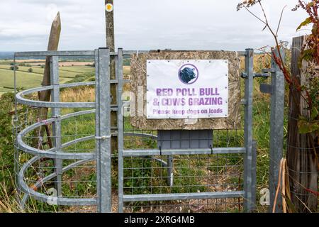 Kissing Gate mit Schild Warnung Red Poll Bulle und Kühe weiden Stockfoto