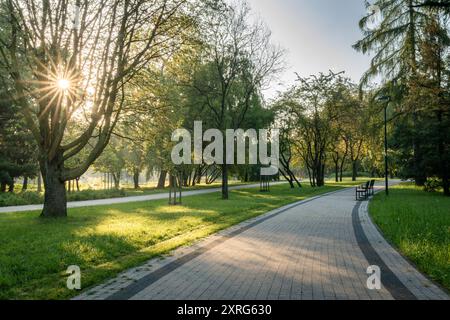 Am frühen Morgen strömt das Sonnenlicht durch Bäume in einem öffentlichen Park mit einem gewundenen Pfad Stockfoto