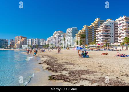 Platja de la Fossa, Calp, Comunidad Valenciana, Viertel Alicante, Costa Blanca, Spanien Stockfoto