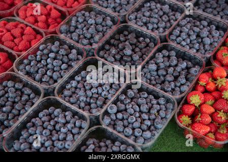 Frische reife Heidelbeeren und Erdbeeren zum Verkauf auf einem Obstmarkt. Stockfoto