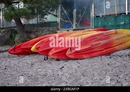 Eine Reihe gelber und roter Kajaks, die sich ordentlich am Strand aneinandergereiht haben und für Touristen bereit sind, die sie mieten und genießen können. Die farbenfrohen Kanus heben sich von der sandigen Rückseite ab Stockfoto