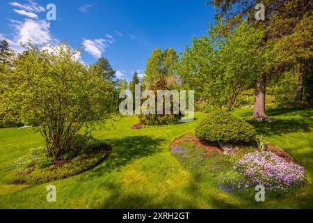 Ein wunderschön gestalteter Vorstadtgarten mit Rasen, Bäumen und Blumengärten. Stockfoto