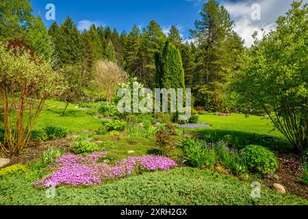 Ein wunderschön gestalteter Vorstadtgarten mit Rasen, Bäumen und Blumengärten. Stockfoto