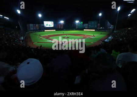 Puebla, Mexiko. August 2024. Die Fans von Pericos de Puebla sehen im Hermanos Serdan Stadion das 4. Spiel von Diablos Rojos del México gegen Pericos de Puebla aus der ersten Runde der mexikanischen Baseball League (LMB) 2024. Pericos besiegt Diablos mit 6:4, Diablos führt in der Serie mit 3:1 an. Am 9. August 2024 in Puebla, Mexiko. (Foto: Carlos Santiago/ Credit: Eyepix Group/Alamy Live News Stockfoto