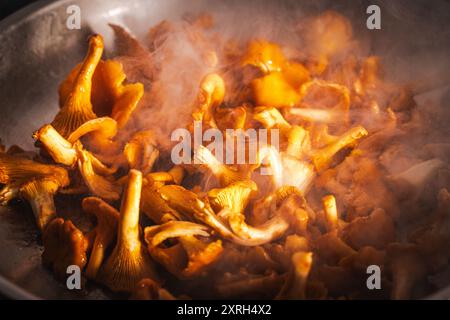 Pfifferlingen werden in einer Pfanne gebraten. Die goldene Farbe der Pilze wird durch Sonnenlicht durch den Rauch beleuchtet. Hochwertige Fotos Stockfoto