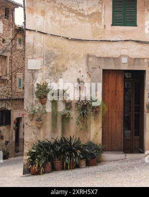 Mediterranes Haus mit Topfpflanzen Stockfoto