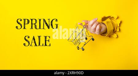 Eine Hand, die einen Einkaufswagen hält und darunter die Worte Spring Sale steht. Das Bild hat eine spielerische und unbeschwerte Stimmung, während die Hand das hält Stockfoto