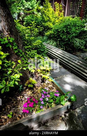 Impatiens, Ivy und Büsche in einem Garten im Innenhof in Greenwich Village, New York City, New York, USA Stockfoto