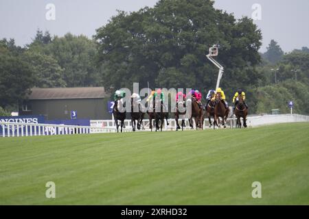 Ascot, Großbritannien. August 2024. HOLKHAM BAY (Nr. 9, Second R), geritten von Jockey Rachel Venniker (gelbe Seide und Kappe), gewinnt den Dubai Duty Free Shergar Cup Dash (Klasse 2 Handicap) beim Dubai Duty Free Shergar Cup und Konzert auf der Ascot Racecourse in Berkshire. Besitzer Norfolk Thoroughbreds. Trainer William Knight, Newmarket, Züchter Hellwood Stud Farm, Sponsor William Knight Racing Ltd Quelle: Maureen McLean/Alamy Live News Stockfoto