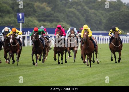 Ascot, Großbritannien. August 2024. HOLKHAM BAY (Nr. 9, Second R), geritten von Jockey Rachel Venniker (gelbe Seide und Kappe), gewinnt den Dubai Duty Free Shergar Cup Dash (Klasse 2 Handicap) beim Dubai Duty Free Shergar Cup und Konzert auf der Ascot Racecourse in Berkshire. Besitzer Norfolk Thoroughbreds. Trainer William Knight, Newmarket, Züchter Hellwood Stud Farm, Sponsor William Knight Racing Ltd Quelle: Maureen McLean/Alamy Live News Stockfoto