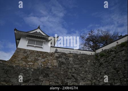 Landschaft mit malerischem Blick auf einen originalen Tsukimi Yagura Turm (um 1597) auf dem Gelände von Okayama-jō in Okayama, Japan. Stockfoto