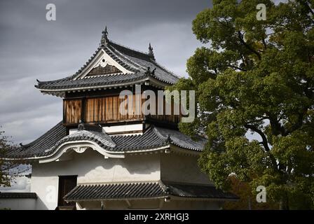 Landschaft mit malerischem Blick auf einen originalen Tsukimi Yagura Turm (um 1597) auf dem Gelände von Okayama-jō in Okayama, Japan. Stockfoto