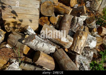 Frisch geschnittene Birken- und Kiefernholz liegen in einem Garten. Stockfoto