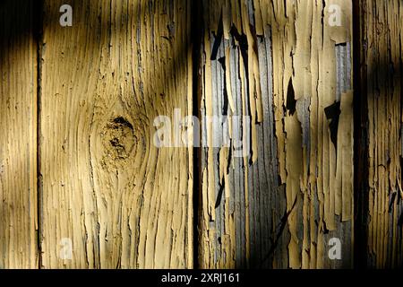 Eine Holzwand zeigt abgenutzte Textur und abblätternde Farbe unter weichem Licht. Stockfoto