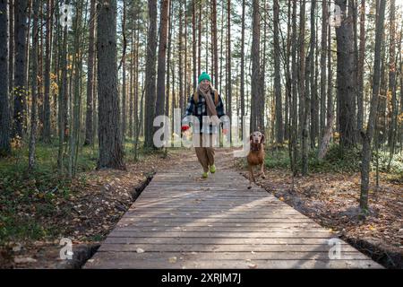 Glückliche Frau mit Jagdhund an der Leine, die auf einem hölzernen Öko-Pfad durch dichten Wald durch Bäume spaziert Stockfoto