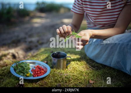 Frau sitzt draußen auf Gras mit Campingbecher, Teller und gibt Beeren Minze zu Tee, um den Geschmack zu verbessern Stockfoto