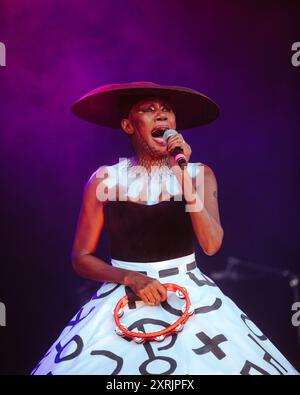 Grace Jones tritt auf der Lands End Stage während des Outside Lands 2024 Music and Arts Festivals auf, das am 10. August 2024 im Golden Gate Bridge Park in San Francisco stattfindet. (Foto von Alive Coverage/SIPA USA) Credit: SIPA USA/Alamy Live News Stockfoto