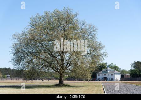 Das Haupttor oder Wachturm A des Konzentrationslagers Sachsenhausen in Oranienburg, Brandenburg Stockfoto