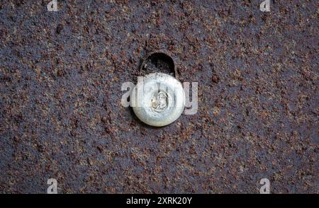 Makronaht Metallgewinde auf rostiger Oberfläche Stockfoto