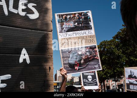 Ein Plakat mit Bildern von blutenden Walen, stoppt die Schlachtung, bitte helft uns, unsere Petitionen zu unterschreiben. Paul Watson, der Gründer der NGO Sea Shepherd, ist auf Ersuchen der japanischen Regierung seit mehr als 14 Tagen in dänischen Gefängnissen in Grönland festgehalten worden. Das dänische Justizministerium soll am 15. August über seine Auslieferung nach Japan entscheiden. Frankreich, Toulouse am 10. August 2024. Foto von Patricia Huchot-Boissier / Agence DyF. Stockfoto