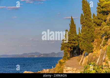 Holzwerbung für mediterrane Lebensmittel Kroatien Stockfoto