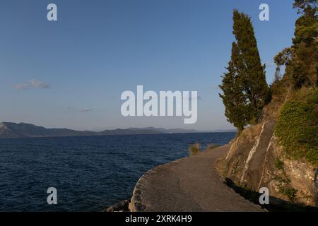 Holzwerbung für mediterrane Lebensmittel Kroatien Stockfoto