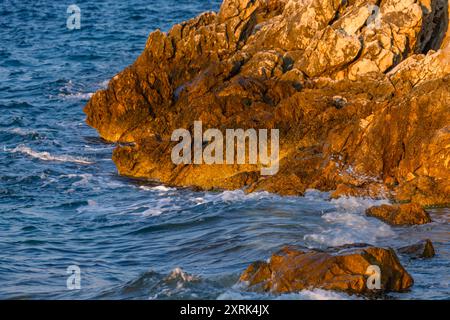 Holzwerbung für mediterrane Lebensmittel Kroatien Stockfoto