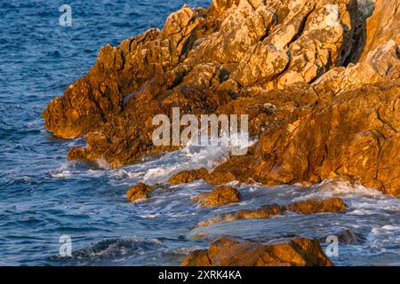 Holzwerbung für mediterrane Lebensmittel Kroatien Stockfoto