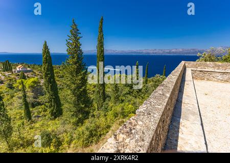 Alte Zypressen und Kiefern in Trpanj in Kroatien auf der Halbinsel Peljesac Stockfoto