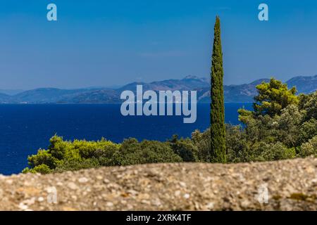 Alte Zypressen und Kiefern in Trpanj in Kroatien auf der Halbinsel Peljesac Stockfoto