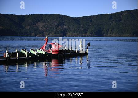 Landschaft mit malerischem Blick auf farbenfrohe Schwan- und Ruderboote am Hafen von Ashinoko, einem malerischen See in der Gegend von Hakone, Kanagawa Japan. Stockfoto