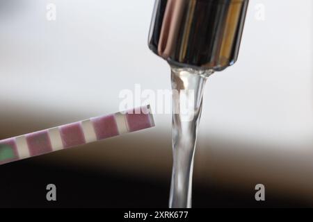 Teststreifen für die Wasserhärte, der durch Verfärben von violettem Wasser sehr hartes Wasser anzeigt, West Sussex, Großbritannien Stockfoto