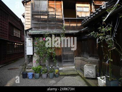 Malerischer Blick auf historische traditionelle Geishas Teehäuser im Higashi Chaya District in Kanazawa, Ishikawa Japan. Stockfoto