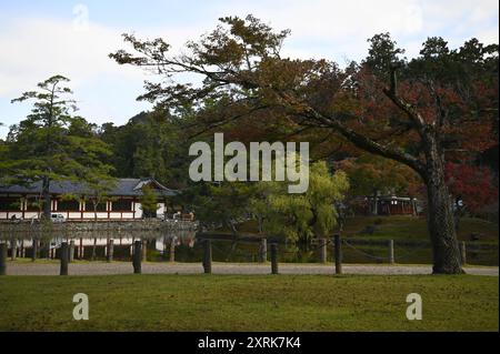 Landschaft mit malerischem Blick auf Higashi Kairo, den östlichen überdachten Korridor des buddhistischen Tempels Tōdai-JI in Nara, Kansai Japan. Stockfoto