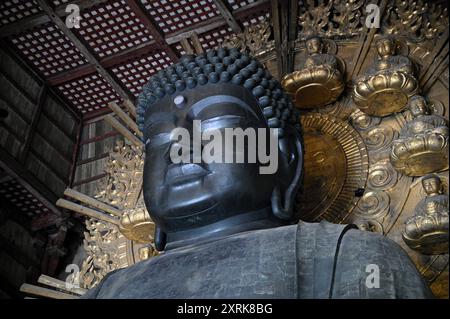 Das Daibutsu, bekannt als Vairocana Buddha, im Inneren der Großen Buddha-Halle, der Haupthalle (Kondō) des Tōdai-JI buddhistischen Tempels in Nara Kansai Japan Stockfoto