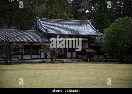 Landschaft mit malerischem Blick auf Higashi Kairo, den östlichen überdachten Korridor des buddhistischen Tempels Tōdai-JI in Nara, Kansai Japan. Stockfoto