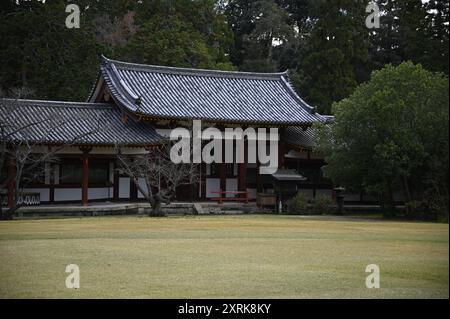 Landschaft mit malerischem Blick auf Higashi Kairo, den östlichen überdachten Korridor des buddhistischen Tempels Tōdai-JI in Nara, Kansai Japan. Stockfoto